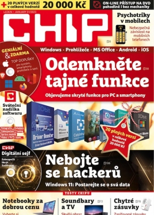 Chip 1/2023
